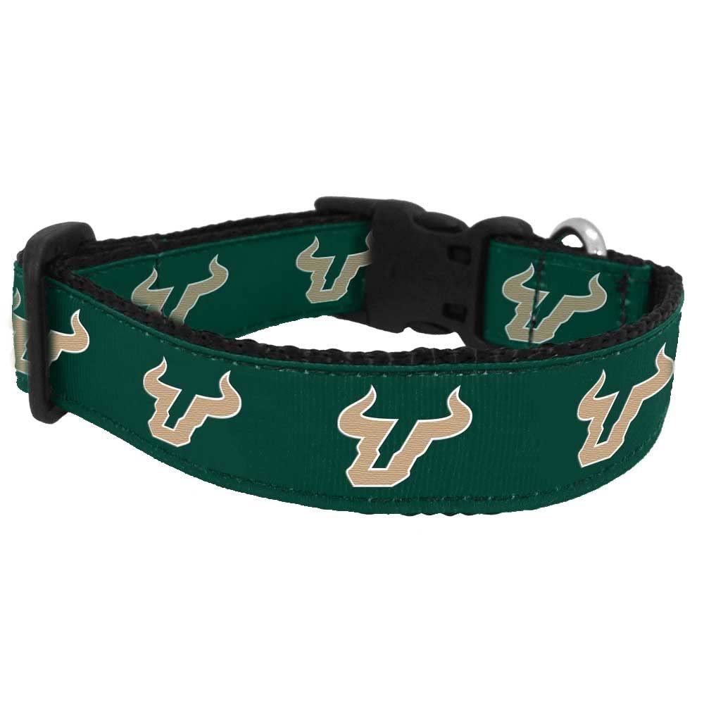 College Dog Collar (Medium, South Florida)