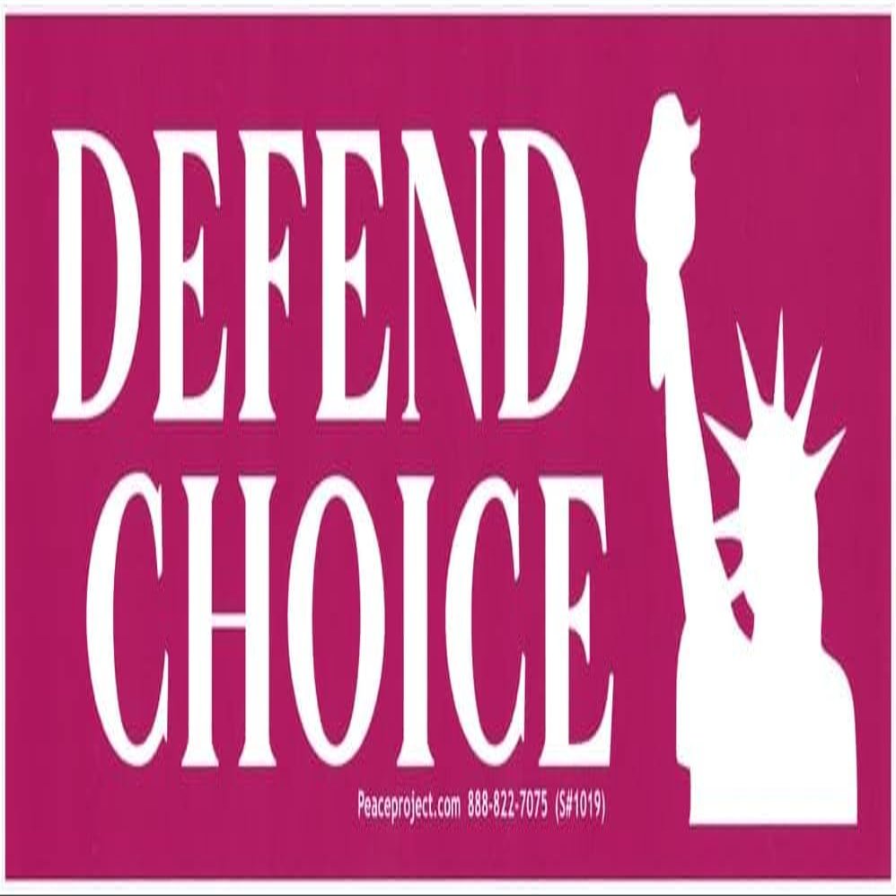 Defend Choice with Statue of Liberty Pro-Choice Freedom Car Bumper Sticker Decal 7.75-by-2.5 Inches (Vinyl Sticker)