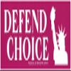 Defend Choice with Statue of Liberty Pro-Choice Freedom Car Bumper Sticker Decal 7.75-by-2.5 Inches (Vinyl Sticker) view 1