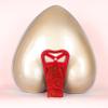 Fldy Mens C-String Bulge Pouch Underwear Underpants Invisible Bikini Briefs Open Hole Sissy Panties Thongs Type C Red One Size view 2