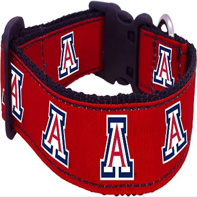 College Dog Collar (Medium, Arizona)