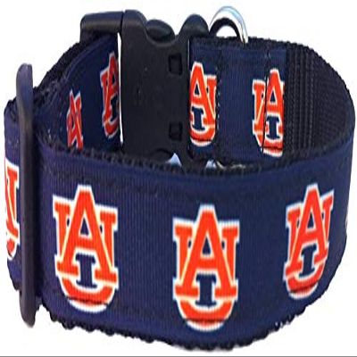 College Dog Collar (Medium, Auburn)