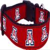 College Dog Collar (Small, Arizona) view 1