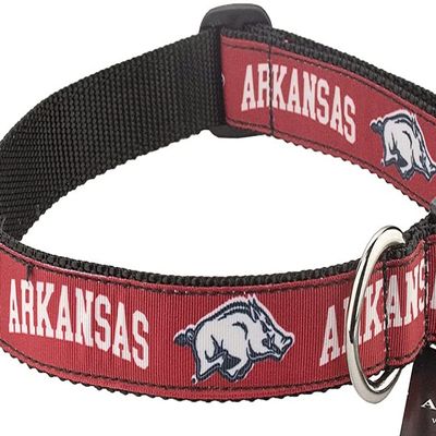 College Dog Collar (Large, Arkansas)