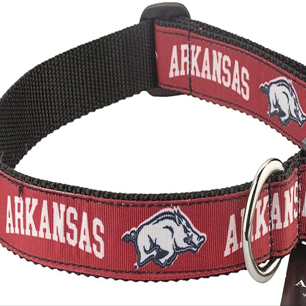 College Dog Collar (Small, Arkansas)