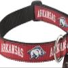 College Dog Collar (Small, Arkansas) view 1