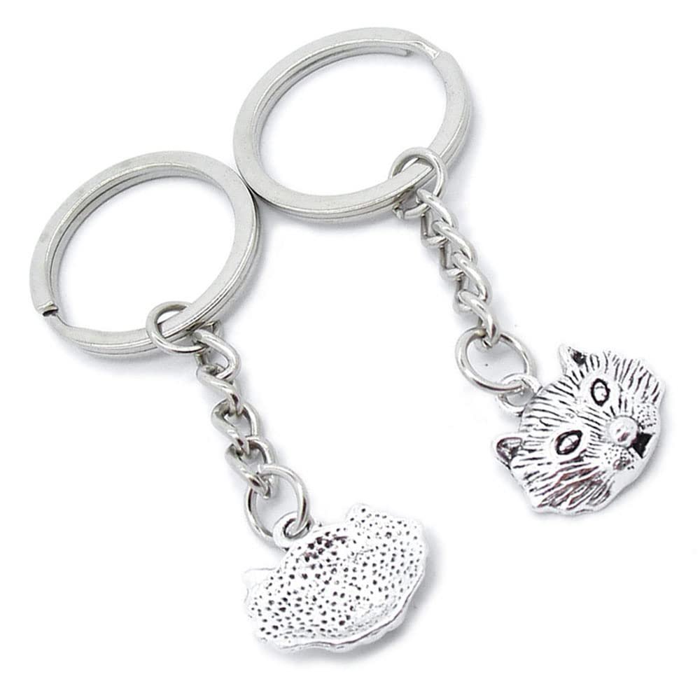 10 Pieces Keychain Keyring Door Car Key Chain Ring Tag Charms Supplies HH6W0Q Wolf Head