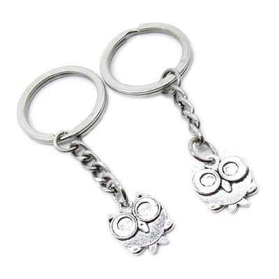 10 Pieces Keychain Keyring Door Car Key Chain Ring Tag Charms Supplies YC1X4A Cartoon Owl