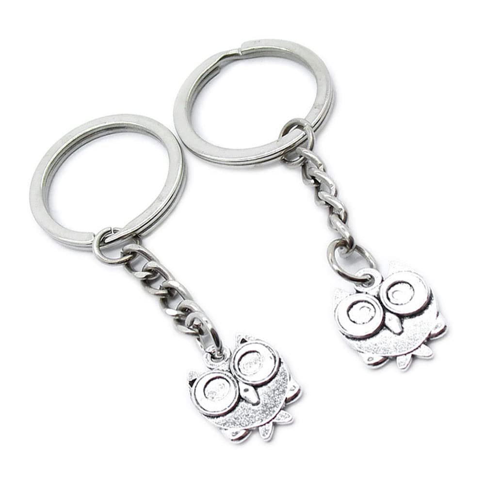 10 Pieces Keychain Keyring Door Car Key Chain Ring Tag Charms Supplies YC1X4A Cartoon Owl