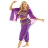 Sywiyi Women's 4Pcs Belly Dance Outfit Halloween Bollywood India Princess Cosplay Fancy Dress Up Costume Purple One Size view 3