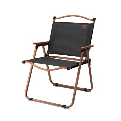 XLHWJCP Portable Camping Chair, with Handle, Heavy Duty Support 450 Lbs, Beach Chairs Backpack Chair for Outdoor Camping, Picnic, Beach, Fishing, Hiking, Travel, Sports (Black-B,20x20x30in)