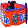 College Dog Collar (Large, Florida) view 1