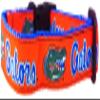 College Dog Collar (Medium, Florida) view 1