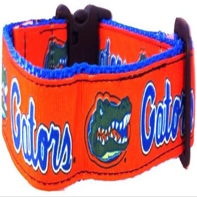 College Dog Collar (Small, Florida)