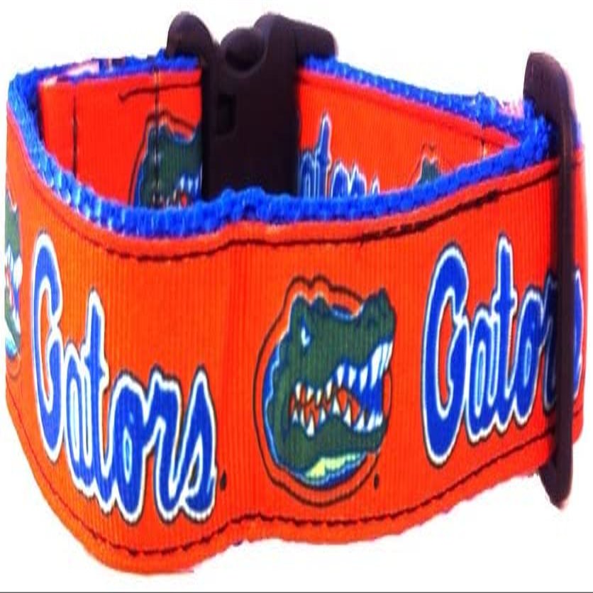 College Dog Collar (Small, Florida)