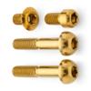 Terske Gold Titanium Brake & Shift Lever Mountain Bike Bolt Kit fits SRAM Matchmaker view 1