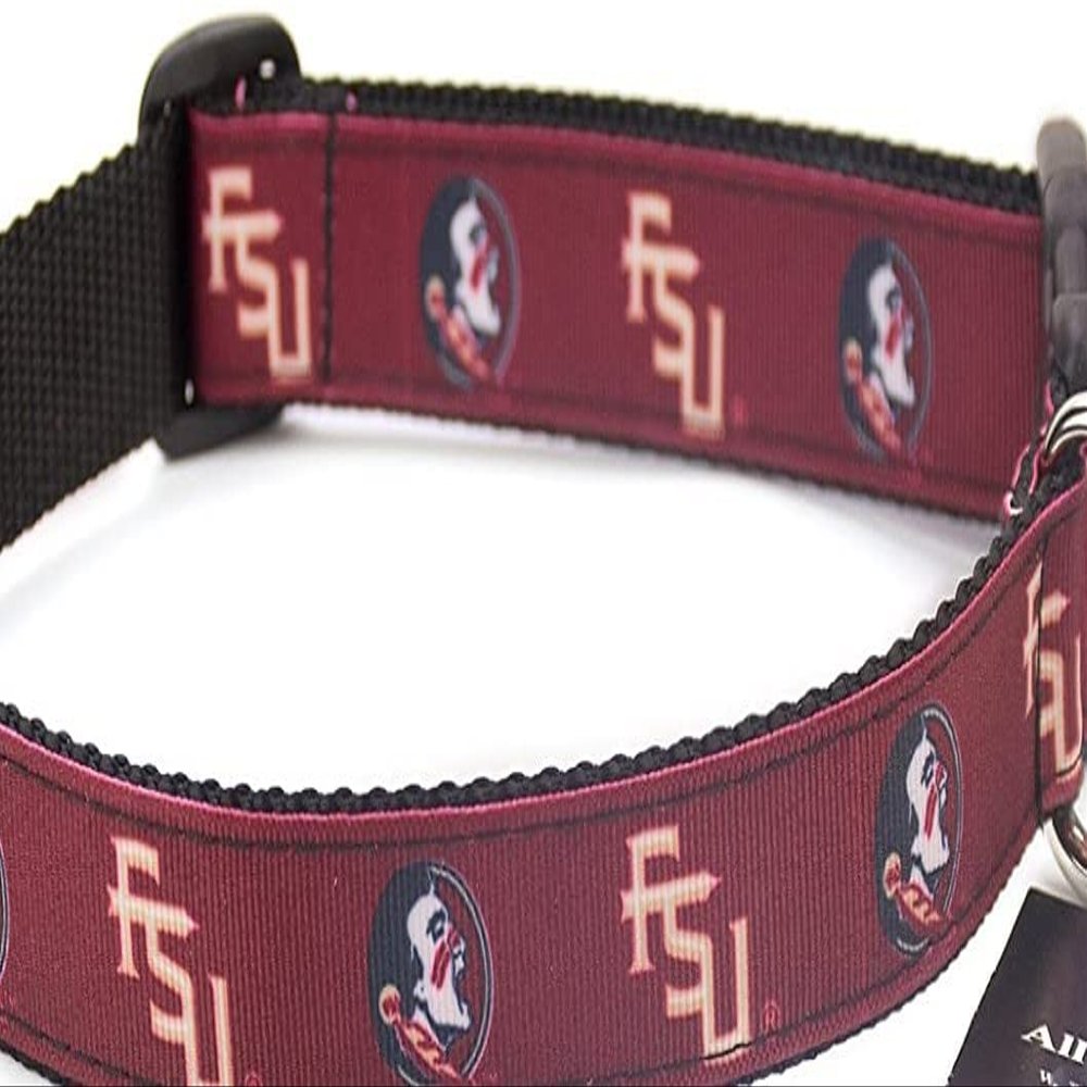 College Dog Collar (Extra Small, Florida State FSU)