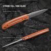 Ruike Survival Hunting EDC Fixed Blade Knife With Sheath,Small Lightweight,14c28n Full-Tang, Bushcraft BowieTactical Camping Gear For Men,Defense Top Horizontal Stainless Steel,Carry Kydex Blet, F815 view 3
