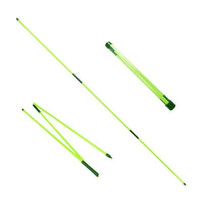 Eshan Golf Alignment Sticks 2 Pack Swing Training Aid Equipment Collapsible Trainer Practice Rods Posture Corrector in Handy Storage Tube Case for Men Women Golfer Swinging (Mint Green)