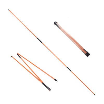 Eshan Golf Alignment Sticks 2 Pack Swing Training Aid Equipment Collapsible Trainer Practice Rods Posture Corrector in Handy Storage Tube Case for Men Women Golfer Swinging (Orange)