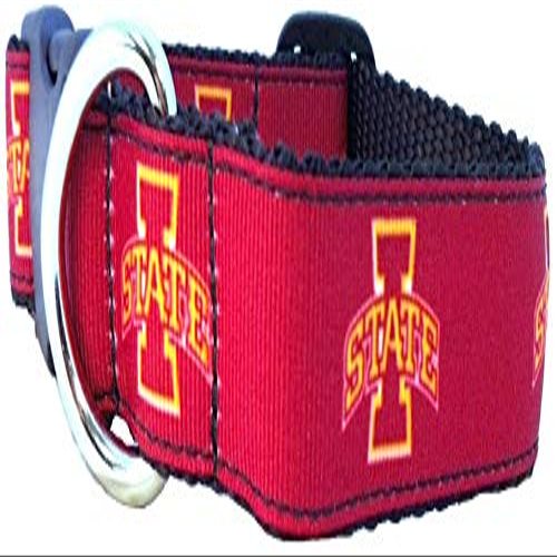 College Dog Collar (Large, Iowa State)