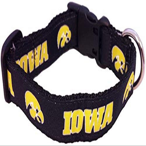 College Dog Collar (Large, Iowa)