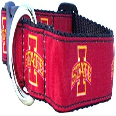 College Dog Collar (Medium, Iowa State)