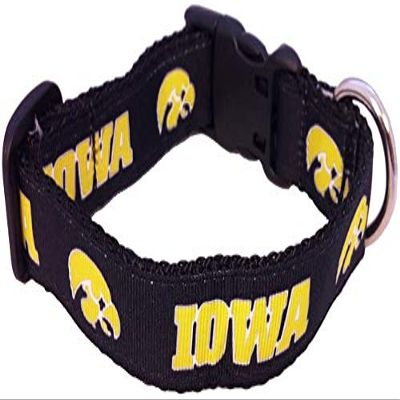 College Dog Collar (Medium, Iowa)