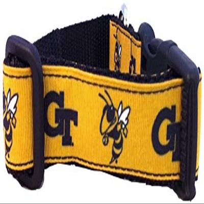 College Dog Collar (Small, Georgia Tch)
