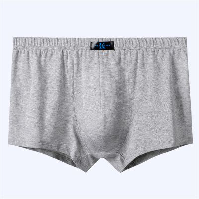 2Pcs Men's Boxers Panties Male Underpants Shorts Boxers Underwear Slip Cotton Corner Panties,Gray,XXL