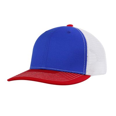 Unisex Mesh Baseball Hat Ball Cap Hat Visor Hat Adjustable Baseball Cap with Sayings (Blue, One Size)