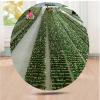 Amadon Mountain Camouflage Net,Military Woodland Training Camo Netting,Terrace Garden Shade Camo Net,Outdoor Camouflage Netting,for Hunting,Decorating,Party,Field Photography etc. (39.4x39.4ft) view 3
