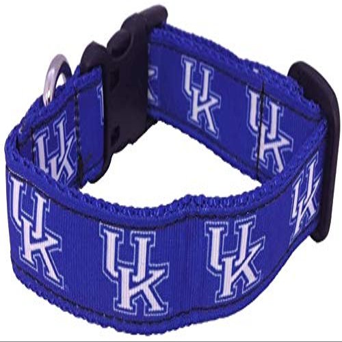 College Dog Collar (Large, Kentucky)