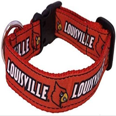 College Dog Collar (Extra Small, Louisville)