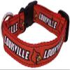 College Dog Collar (Extra Small, Louisville) view 1