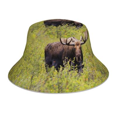 Moose Bucket Hat, Animal Summer Beach Sun Hat Double Sided Foldable Outdoor Unisex Bucket Hat