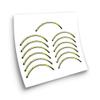 Alexrims ZX 24 MTB 29" Wheel Rim Stickers Compatible view 1