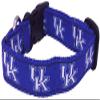 College Dog Collar (Extra Small, Kentucky) view 1