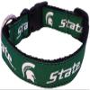 College Dog Collar (Medium, Michigan State) view 1
