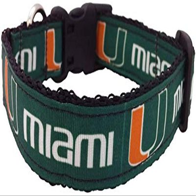 College Dog Collar (Extra Small, Miami)