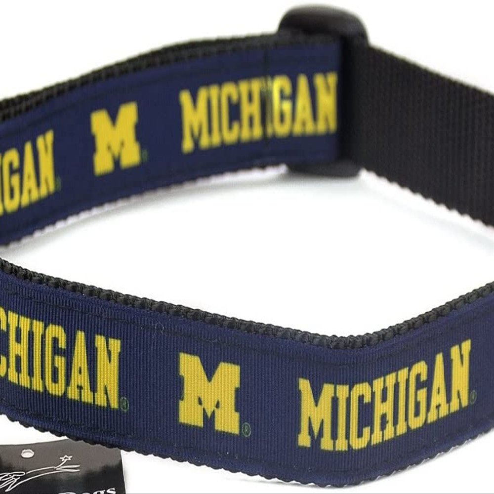 College Dog Collar (Extra Small, Michigan)