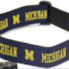 College Dog Collar (Extra Small, Michigan) view 1