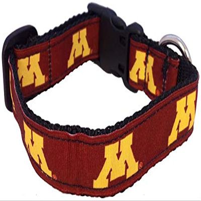 College Dog Collar (Extra Small, Minnesota)