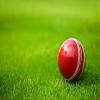 REINDEER Red Leather Club Heavy-Ball for Professional Cricket Players | Pack of 2 (150Gm-170Gm Each) view 3