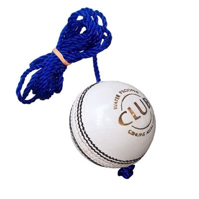 REINDEER Training Cricket White Leather Hanging Ball Heavy Practice-Ball for Senior Players | Pack of 1 (150Gm-170Gm Each)
