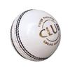 REINDEER Training Cricket White Leather Hanging Ball Heavy Practice-Ball for Senior Players | Pack of 1 (150Gm-170Gm Each) view 2