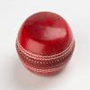 REINDEER Flat Seam Training Cricket Red Leather Flat Ball for Both Junior-Senior Cricket Players | Pack of 2 (150Gm-170Gm Each) view 3