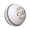 REINDEER Training Cricket White Leather Hanging Ball Heavy Practice-Ball for Senior Players | Pack of 2 (150Gm-170Gm Each) view 2