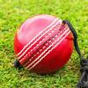 REINDEER Training Cricket Red Leather Hanging Ball Heavy Practice-Ball for Senior Players | Pack of 2 (150Gm-170Gm Each) view 2