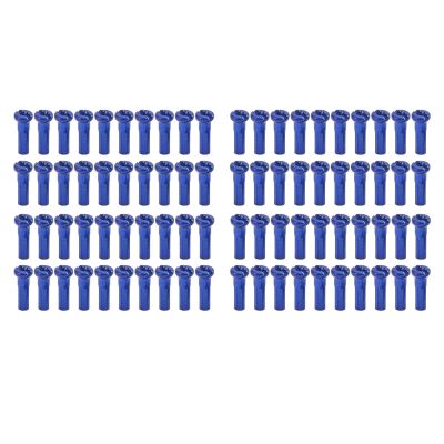 VBESTLIFE Bike Spoke Nipples 14G Iron Spoke Nuts for Bicycle Wheel Building and Repair Replacement Parts 80 Pack for Mountain Road Folding Bikes (Blue)